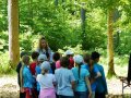 Waldjugendspiele - Schüler bei Führung durch den Wald.