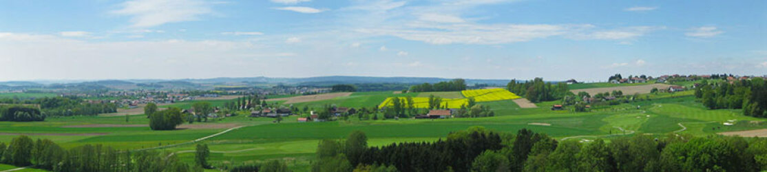 Panoramabild mit Wiesen und Wäldern