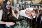 Junge Frau wird von einer Kuh am Arm abgeschleckt.