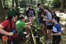 Ein Förster und eine Gruppe von Kinder stehen vor Baumsetzlinge