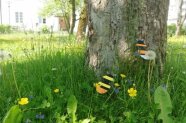 selbstgebastelte Hummeln aus Karton stehen vor einem Baum in einer Streuobstwiese