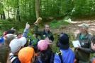 Rege Beteiligung. Die Kinder zeigen stolz, was sie gelernt haben.