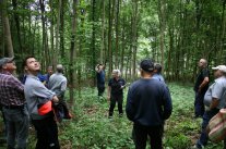 Mehrere Menschen stehen im Wald. 