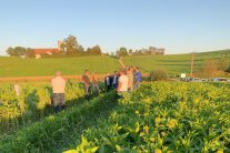 Landwirte bei einer Flurbegehung.