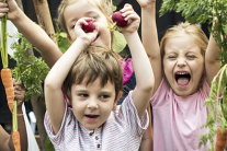 Kinder strecken die Arme in die Höhe