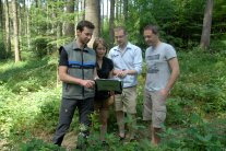 Beratung im Wald