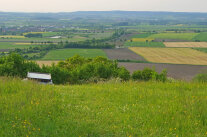 Wiese an einem Hang, dahinter Äcker, Felder und Wiesen © Dr. Doris Jensch (SG 51, Reg. von Mittelfranken)